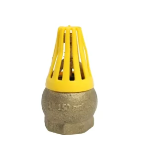 Valvula De Pie Laton 1 Canastilla Plastica