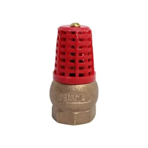 Valvula De Pie Bronce 1 Canastilla Plastica